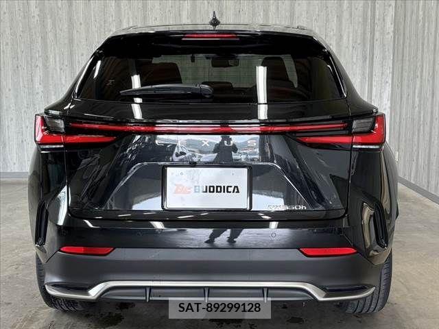Lexus NX 2023-03 354064-13