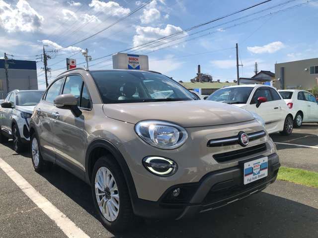 Fiat 500X 2022-03 18391-7