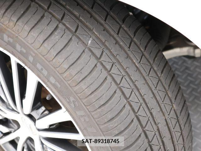 Nissan ELGRAND 2018-02 316278-13