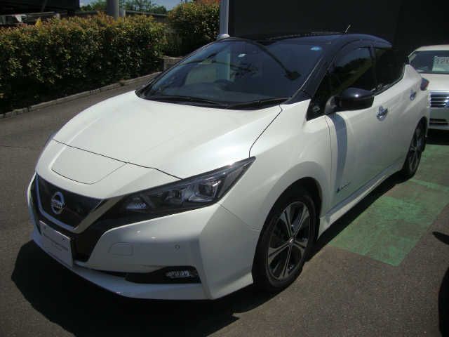 Nissan LEAF 2018-08 5491-0