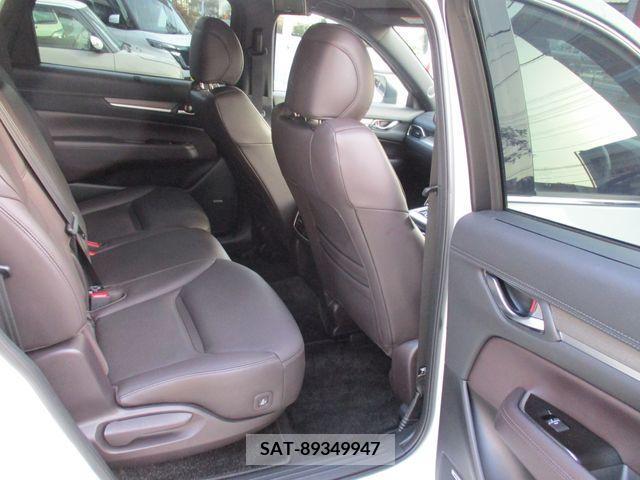 Mazda CX-8 2020-02 296043-14
