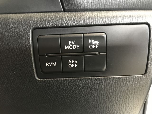 Mazda AXELA HYBRID 2014-03 5164-17
