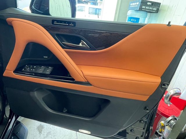 Lexus LX 2023-08 196579-5