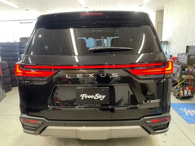 Lexus LX 2023-08 196579-19