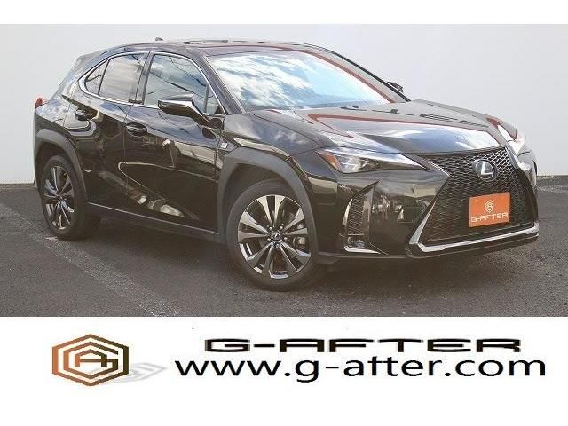 Lexus UX 2018-12 5704-0