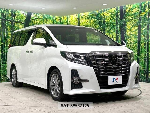 Toyota ALPHARD 2017-12 206304-17