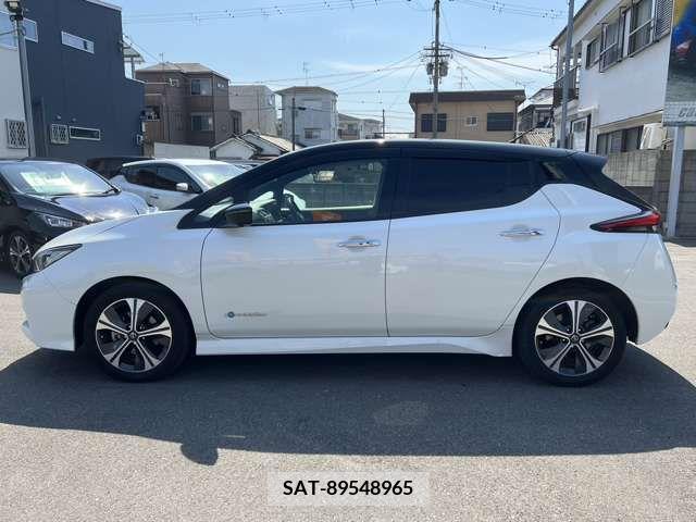 Nissan LEAF 2019-11 219747-4