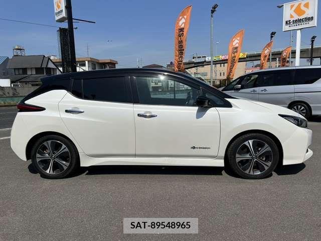 Nissan LEAF 2019-11 219747-5