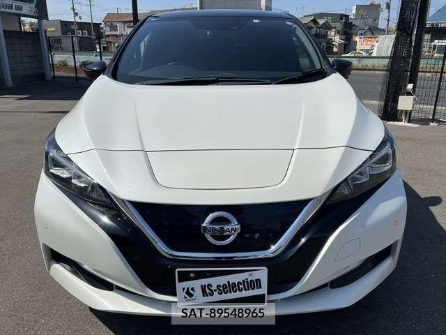 Nissan LEAF 2019-11 219747-2