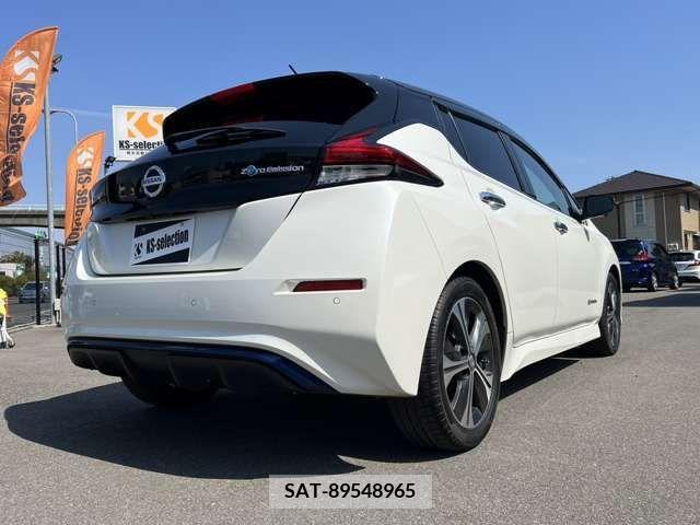 Nissan LEAF 2019-11 219747-1