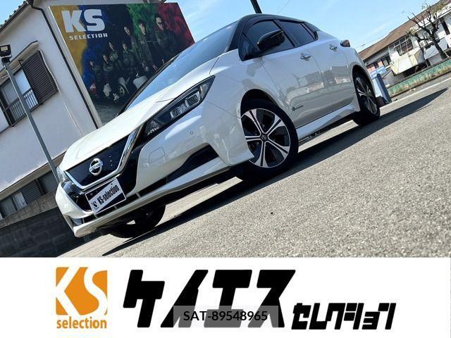 Nissan LEAF 2019-11 219747-0
