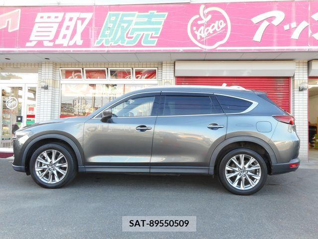 Mazda CX-8 2018-11 387298-5