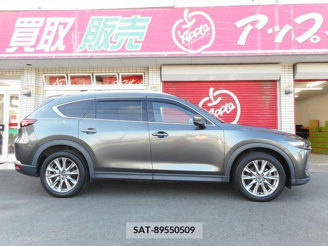Mazda CX-8 2018-11 387298-4
