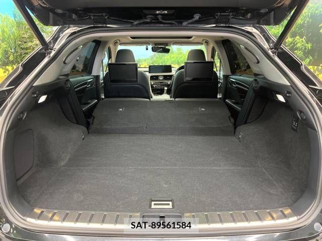 Lexus RX 2020-02 275860-10