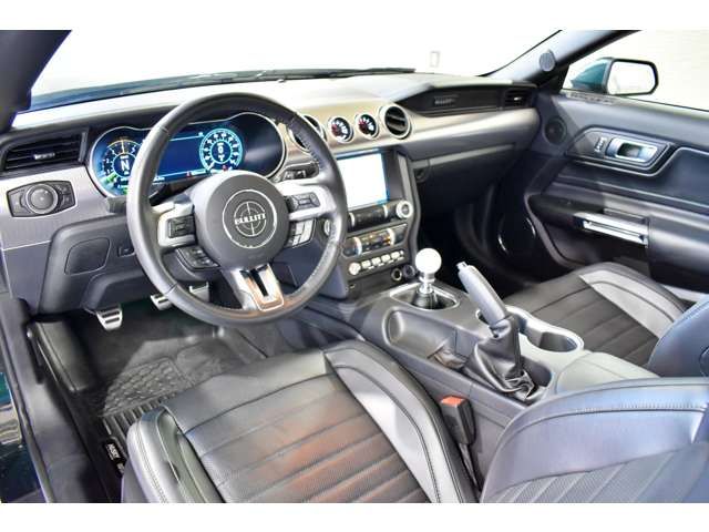 Ford MUSTANG 2019-01 424-3