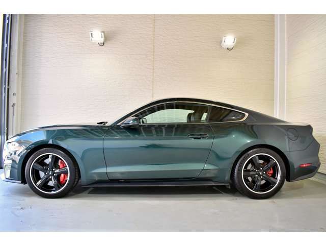 Ford MUSTANG 2019-01 424-6