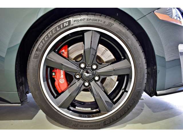 Ford MUSTANG 2019-01 424-10