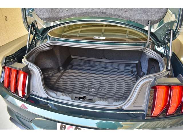 Ford MUSTANG 2019-01 424-5