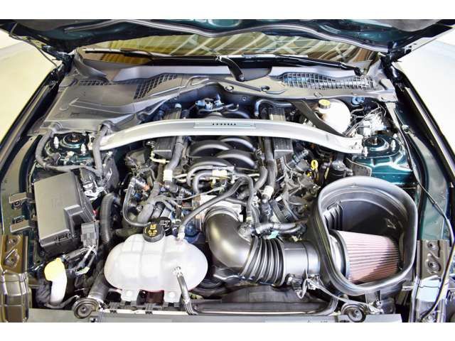 Ford MUSTANG 2019-01 424-9
