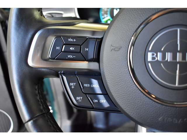 Ford MUSTANG 2019-01 424-12