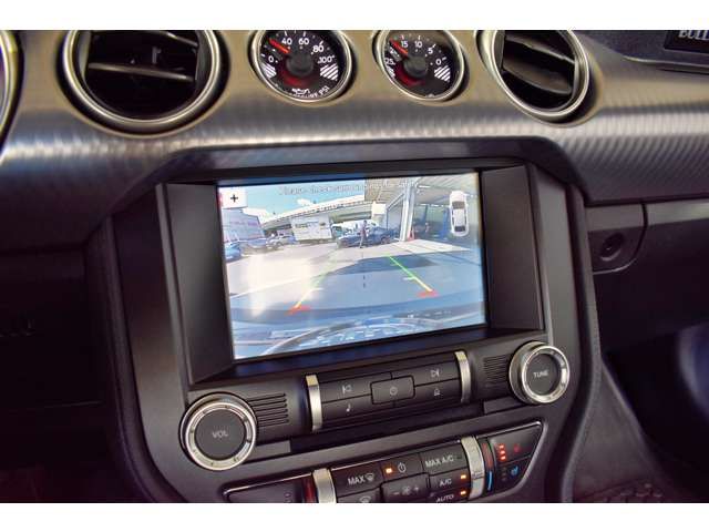 Ford MUSTANG 2019-01 424-15