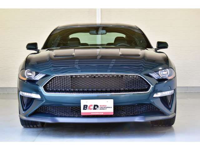 Ford MUSTANG 2019-01 424-1