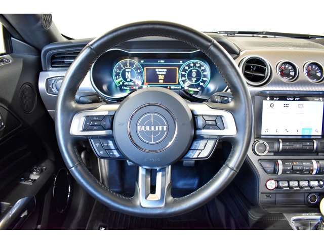 Ford MUSTANG 2019-01 424-11