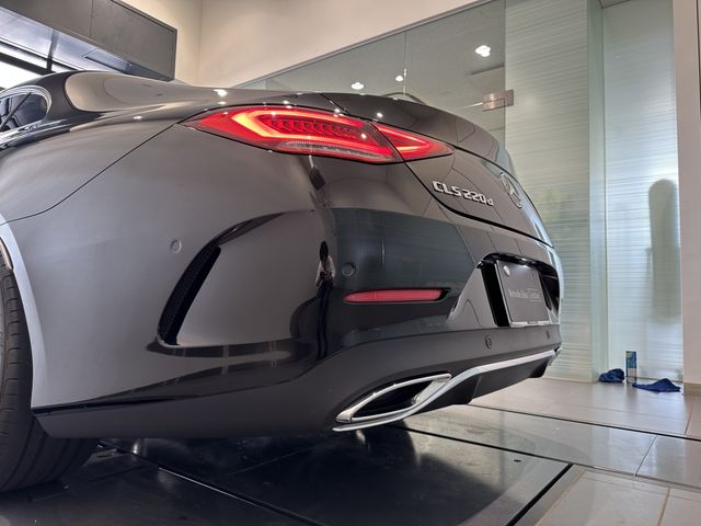 Mercedes Benz CLS-CLASS 2019-07 182367-19