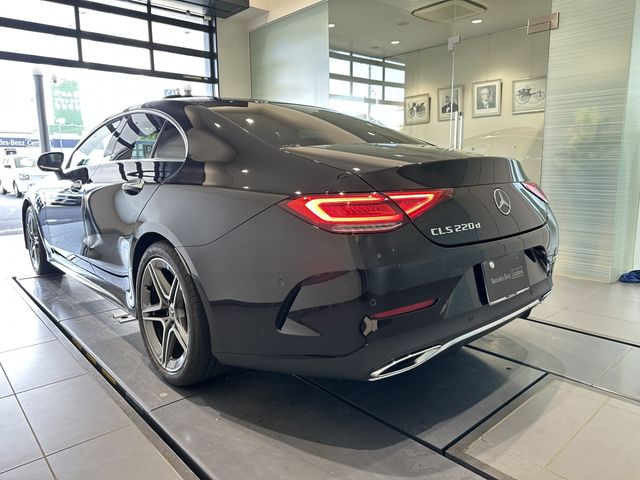 Mercedes Benz CLS-CLASS 2019-07 182367-2