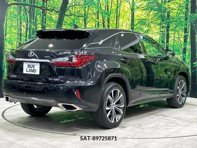 Lexus RX 2018-08 354161-16