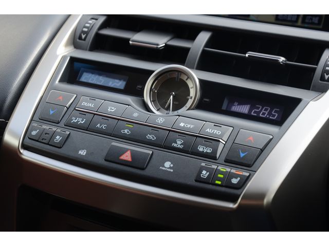 Lexus NX 2015-09 236-11