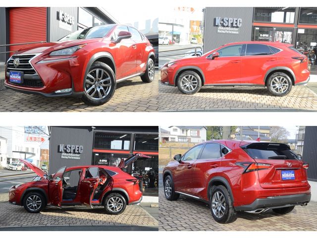 Lexus NX 2015-09 236-25
