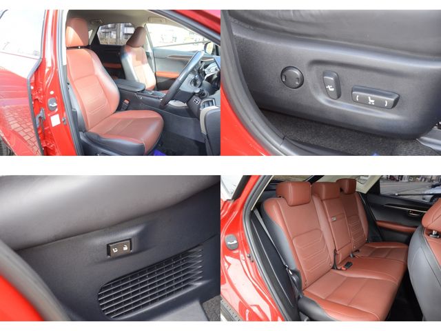 Lexus NX 2015-09 236-29