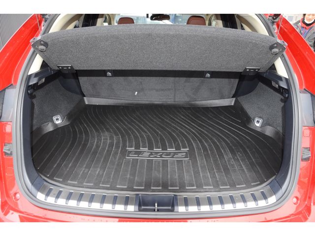 Lexus NX 2015-09 236-18