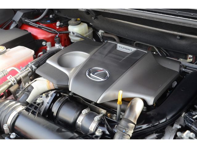 Lexus NX 2015-09 236-22