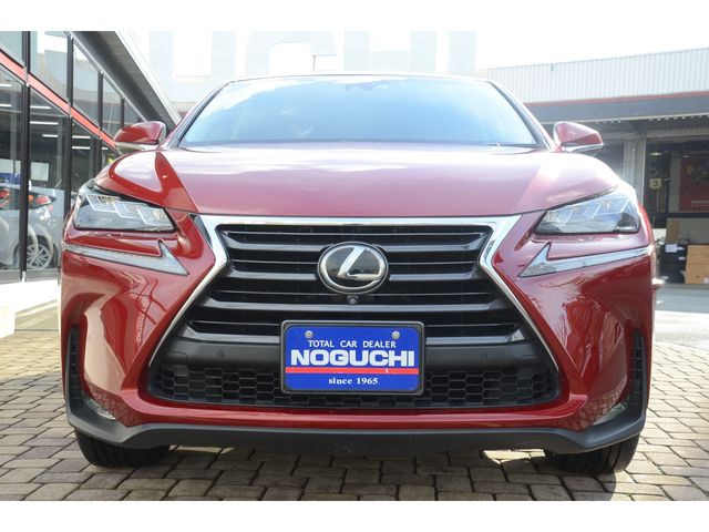 Lexus NX 2015-09 236-1