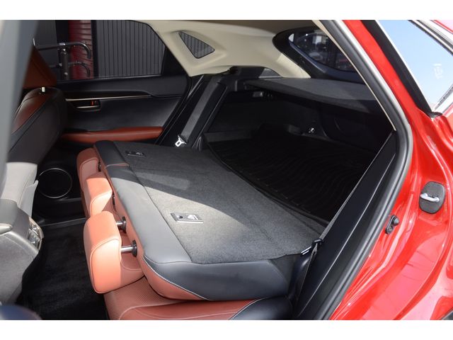 Lexus NX 2015-09 236-17