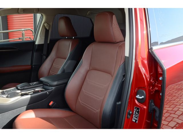 Lexus NX 2015-09 236-14