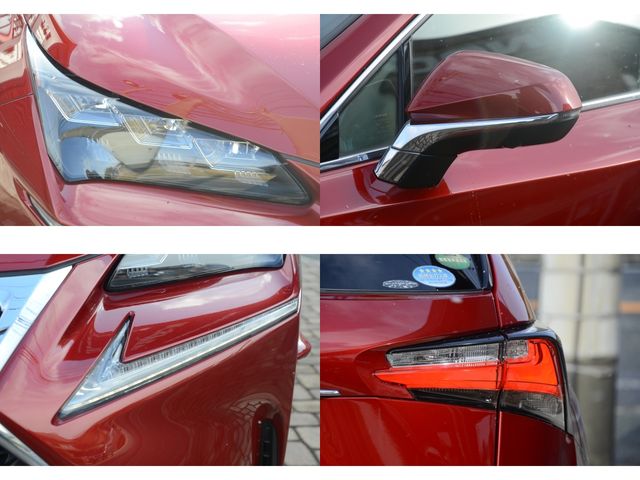 Lexus NX 2015-09 236-26