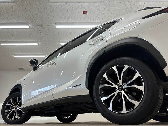 Lexus NX 2014-11 19202-18
