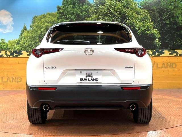 Mazda CX-30 2021-01 14728-15
