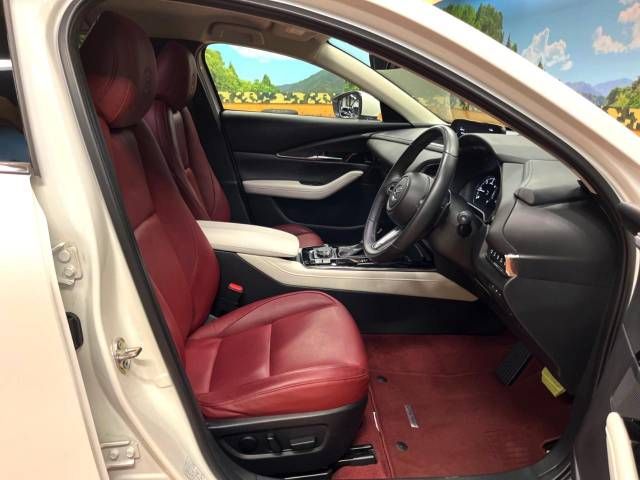 Mazda CX-30 2021-01 14728-8