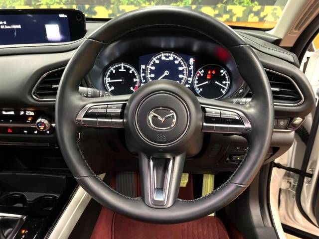 Mazda CX-30 2021-01 14728-11
