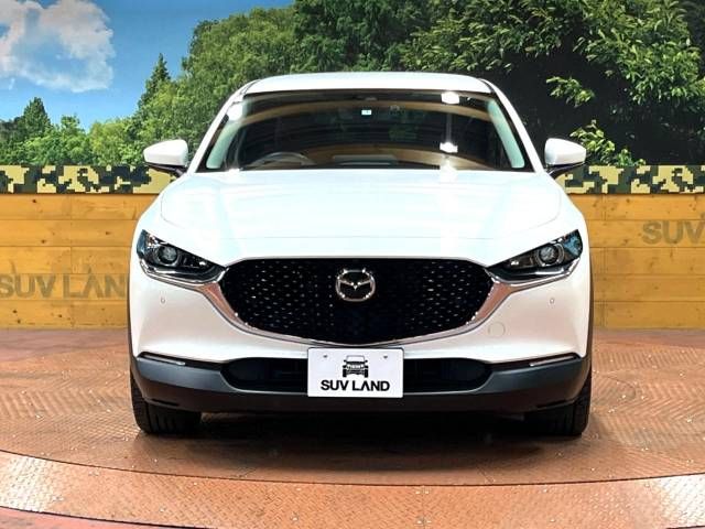 Mazda CX-30 2021-01 14728-14