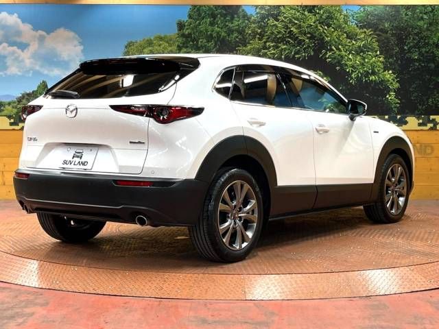 Mazda CX-30 2021-01 14728-17