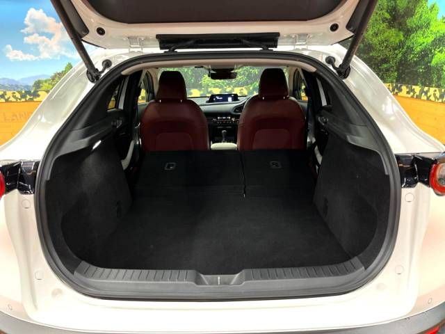 Mazda CX-30 2021-01 14728-10