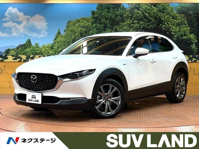 Mazda CX-30 2021-01 14728-0