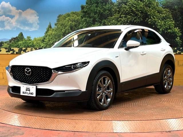 Mazda CX-30 2021-01 14728-16