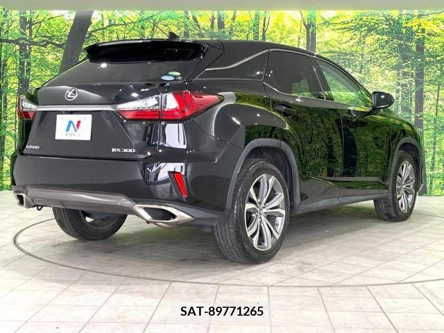 Lexus RX 2018-02 219063-17