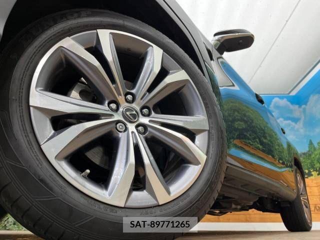 Lexus RX 2018-02 219063-13